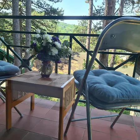 Door 2 Vrnjacka Banja