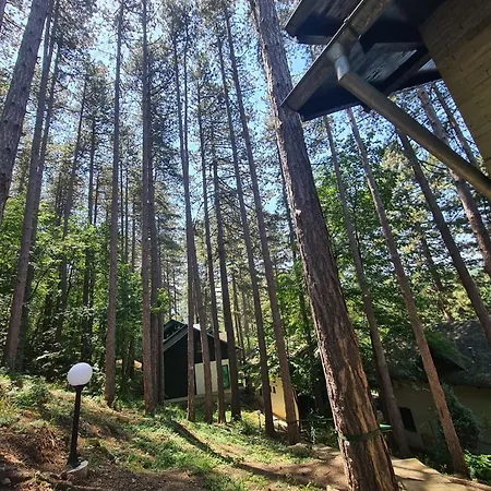 Door 2 Дом отдыха